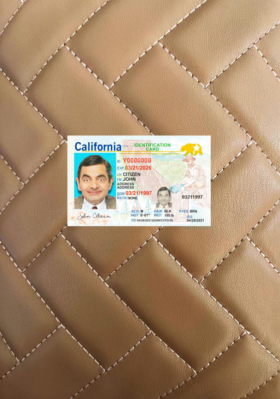 Blank USA California ID card 2021 present photolook example